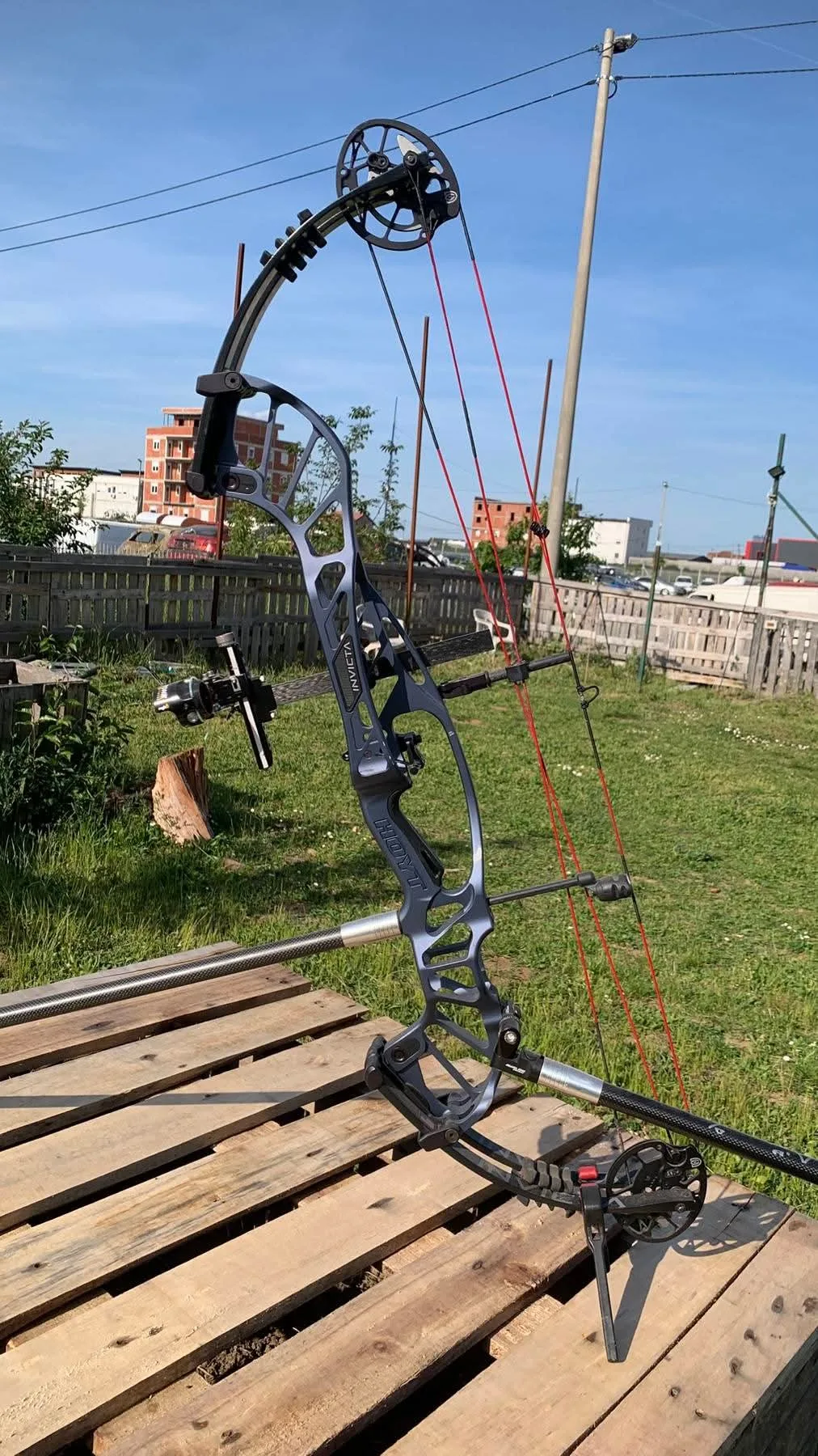 Hoyt invicta